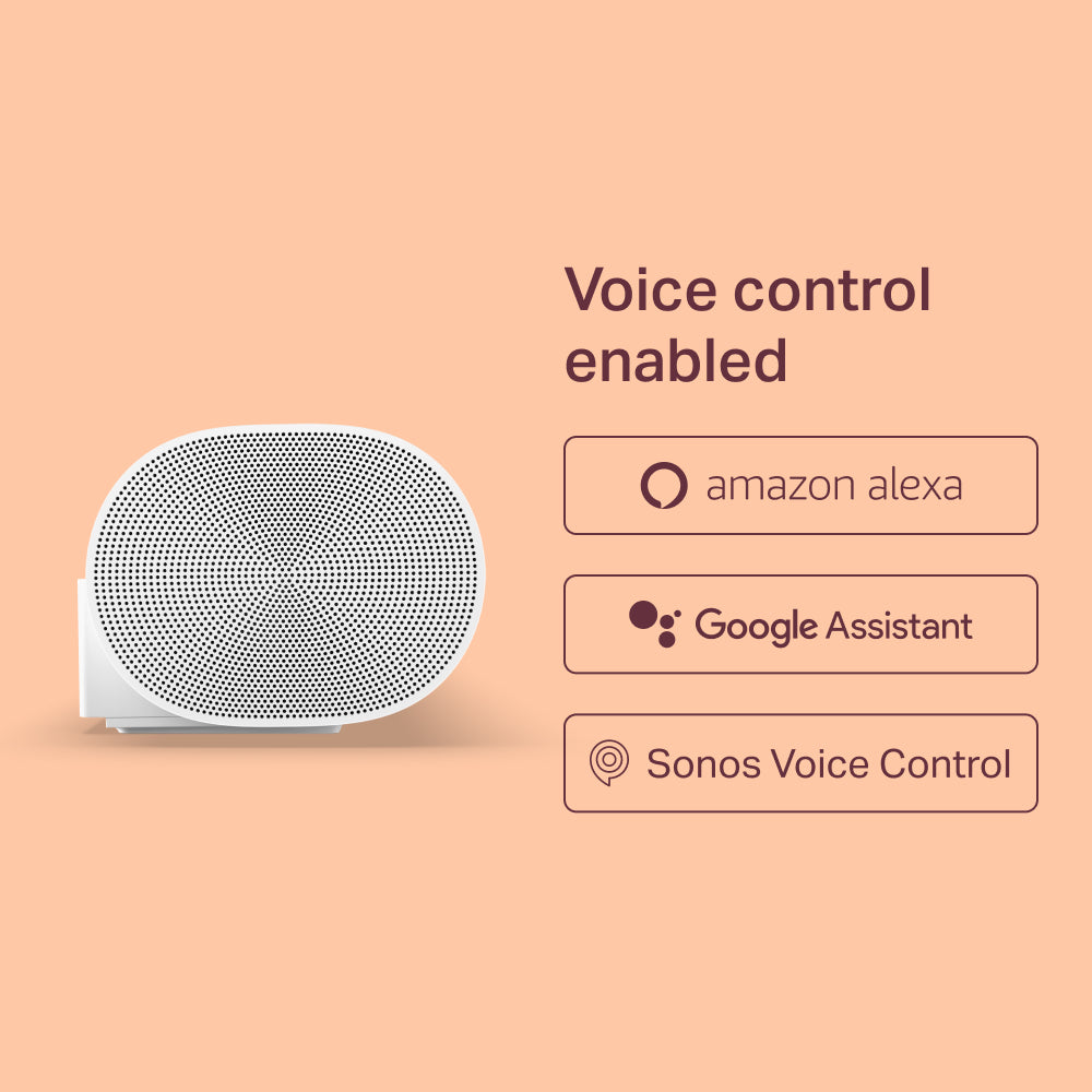 Sonos Sonos Arc Soundbar (VIP)