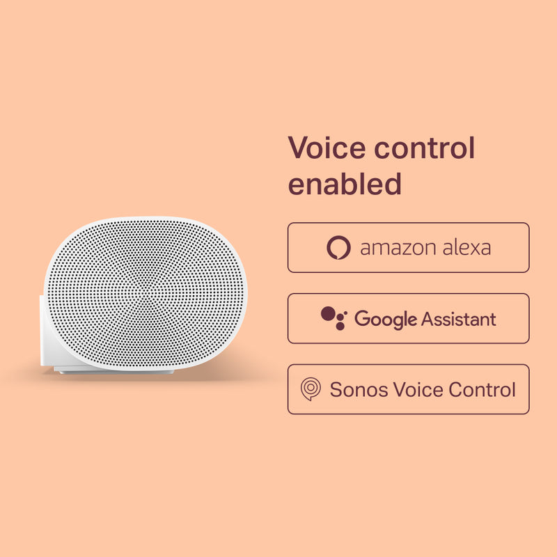 Sonos Sonos Arc Soundbar (VIP)