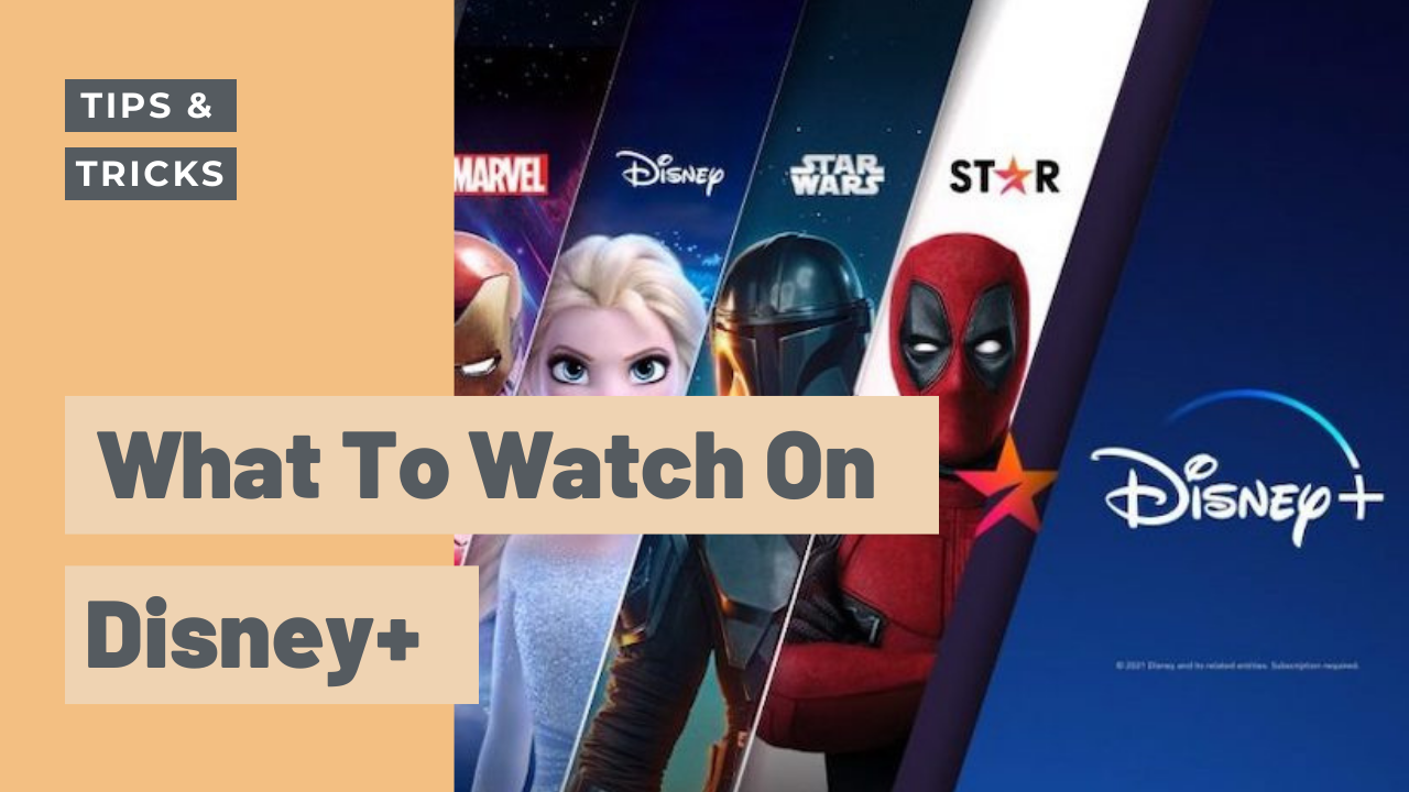 Don’t know what to watch on Disney+ since WandaVision is over? We’ve got you.