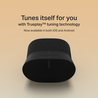 Sonos Sonos Era 300 Trueplay technology