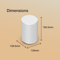Sonos Sonos Era 100 