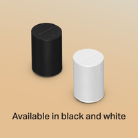 Sonos Era 100 Black and White Speakers
