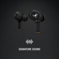 Marshall Marshall Motif 2 ANC 