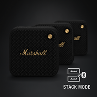 Marshall REBEL Package (Marshall Willen and Marshall Minor III) 